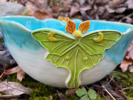 Luna moth bowl SPRT 4 8”D feature Online