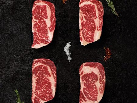 Ribeye 4 Pack Supply