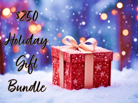 $250 Holiday Gift Bundle! Hot on Sale