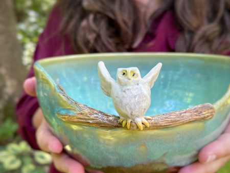 bowl Owl  4 on Sale