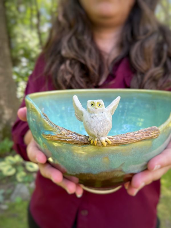 bowl Owl  4 on Sale