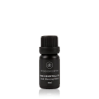 The Goodnight Company Essential Oil Good Morning Blend 10ml on Sale