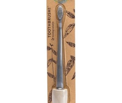 The Natural Family Co Bio Toothbrush & Stand Monsoon Mist on Sale